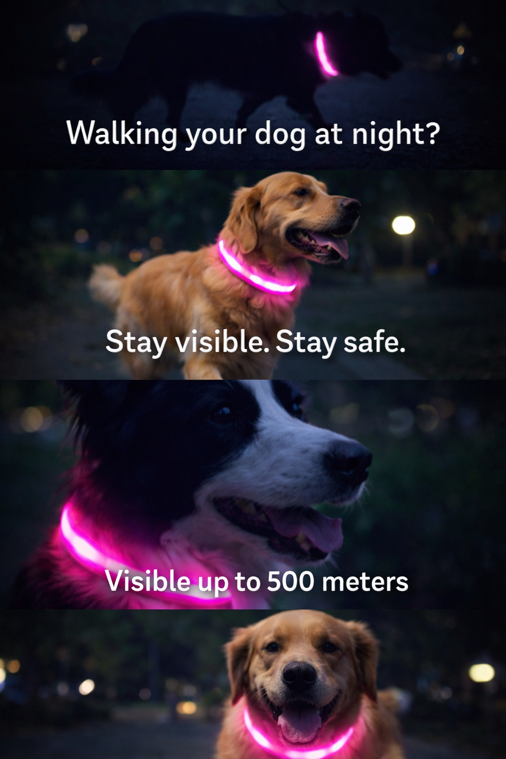 LED Dog Collar – USB Rechargeable Night Safety Collar for Dogs
